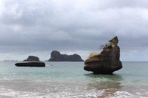Tolaga Bay-The Mount-Cooks Beach-037